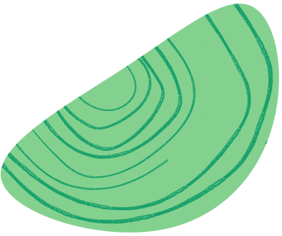 Our theory of action
