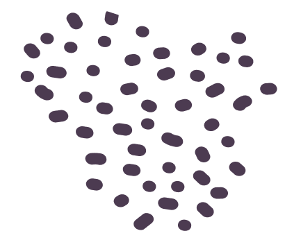 vector